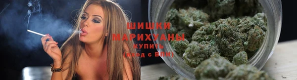 СК Верея